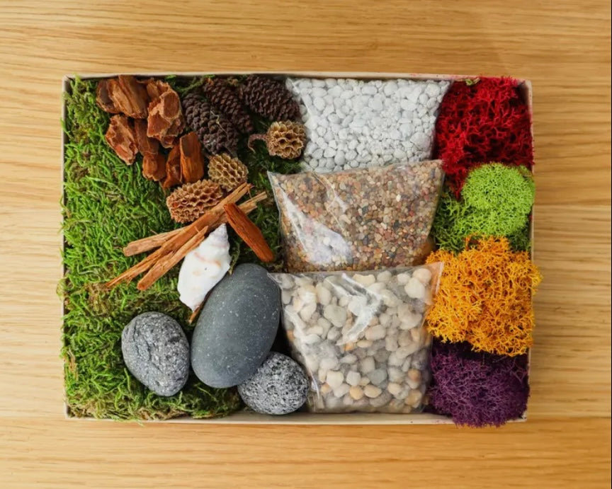 Plant Landscape Kit