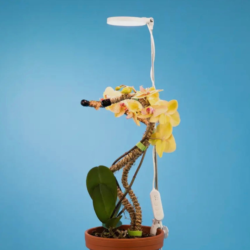 Adjustable LED Plant Light