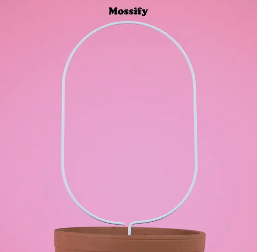 Oval Trellis- Trailing Plant Support