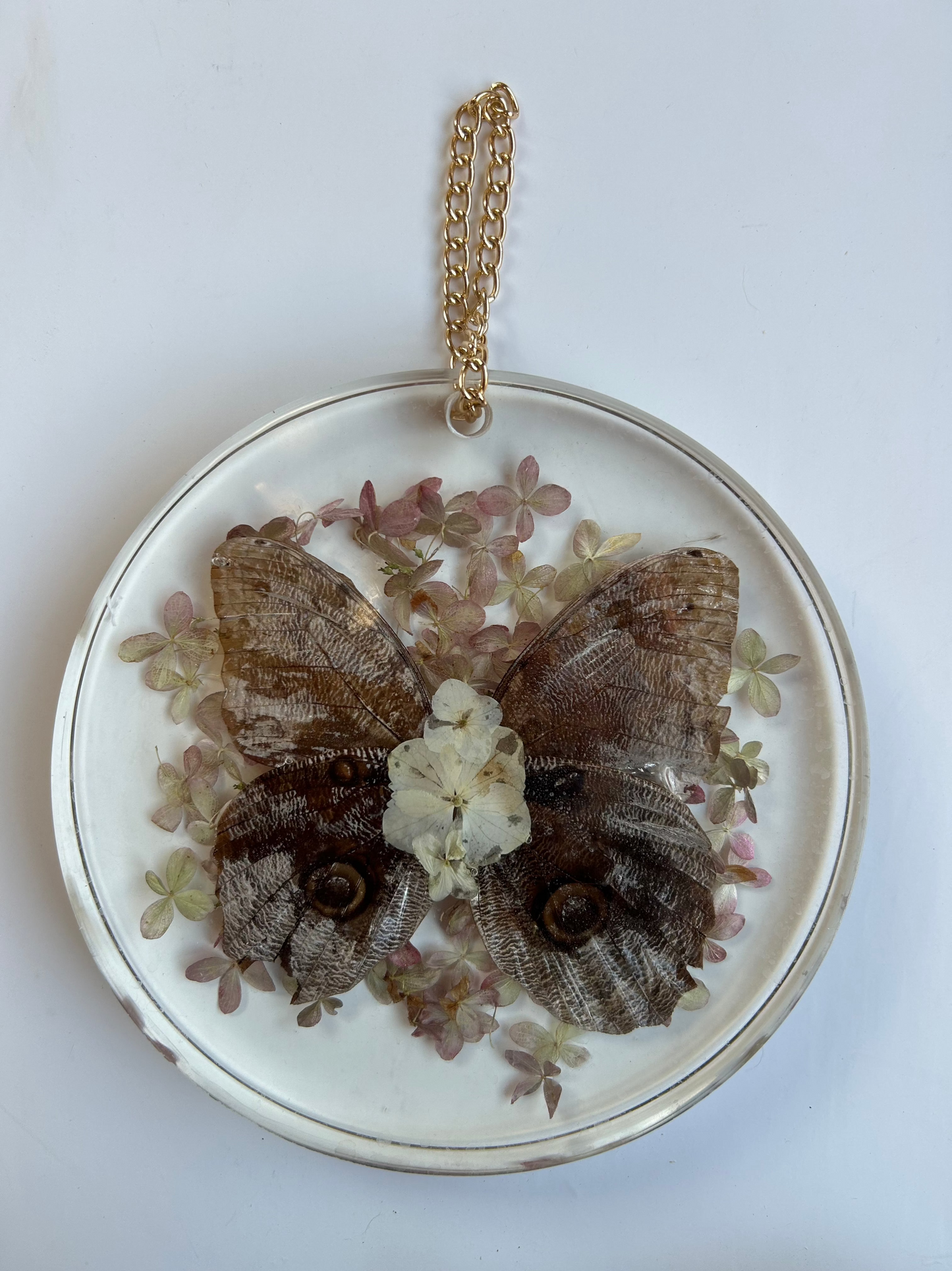 Resin Butterfly Art