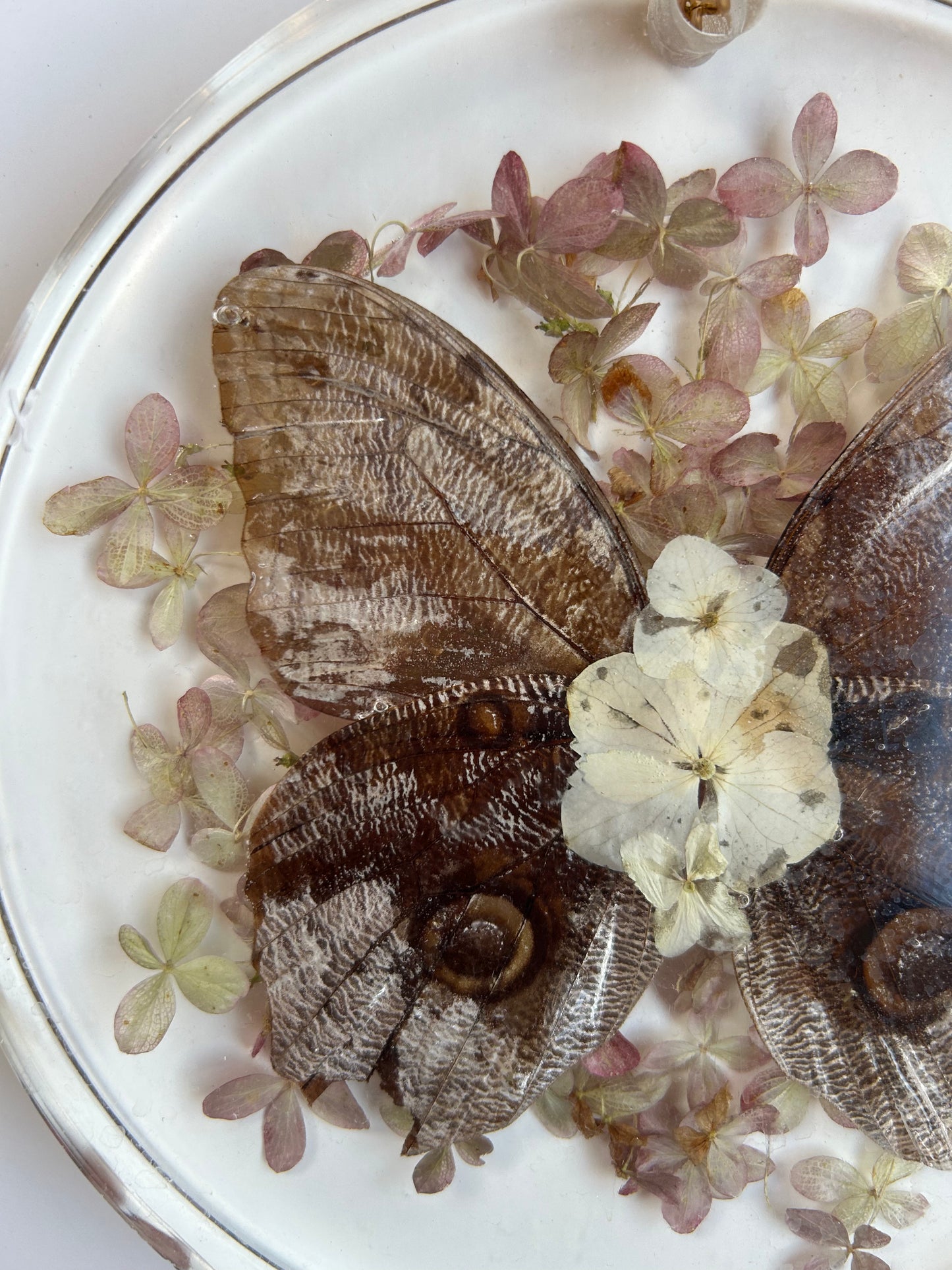 Resin Butterfly Art