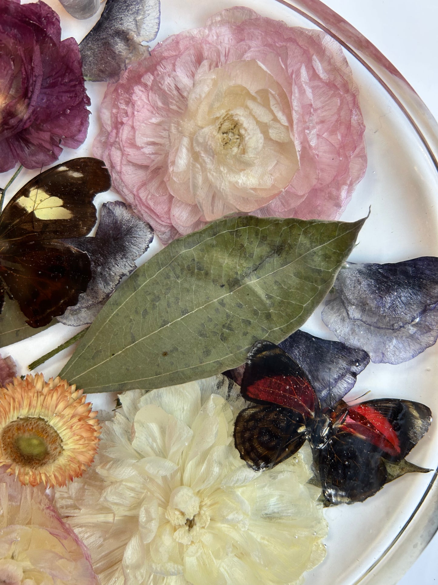 Resin Butterfly Art