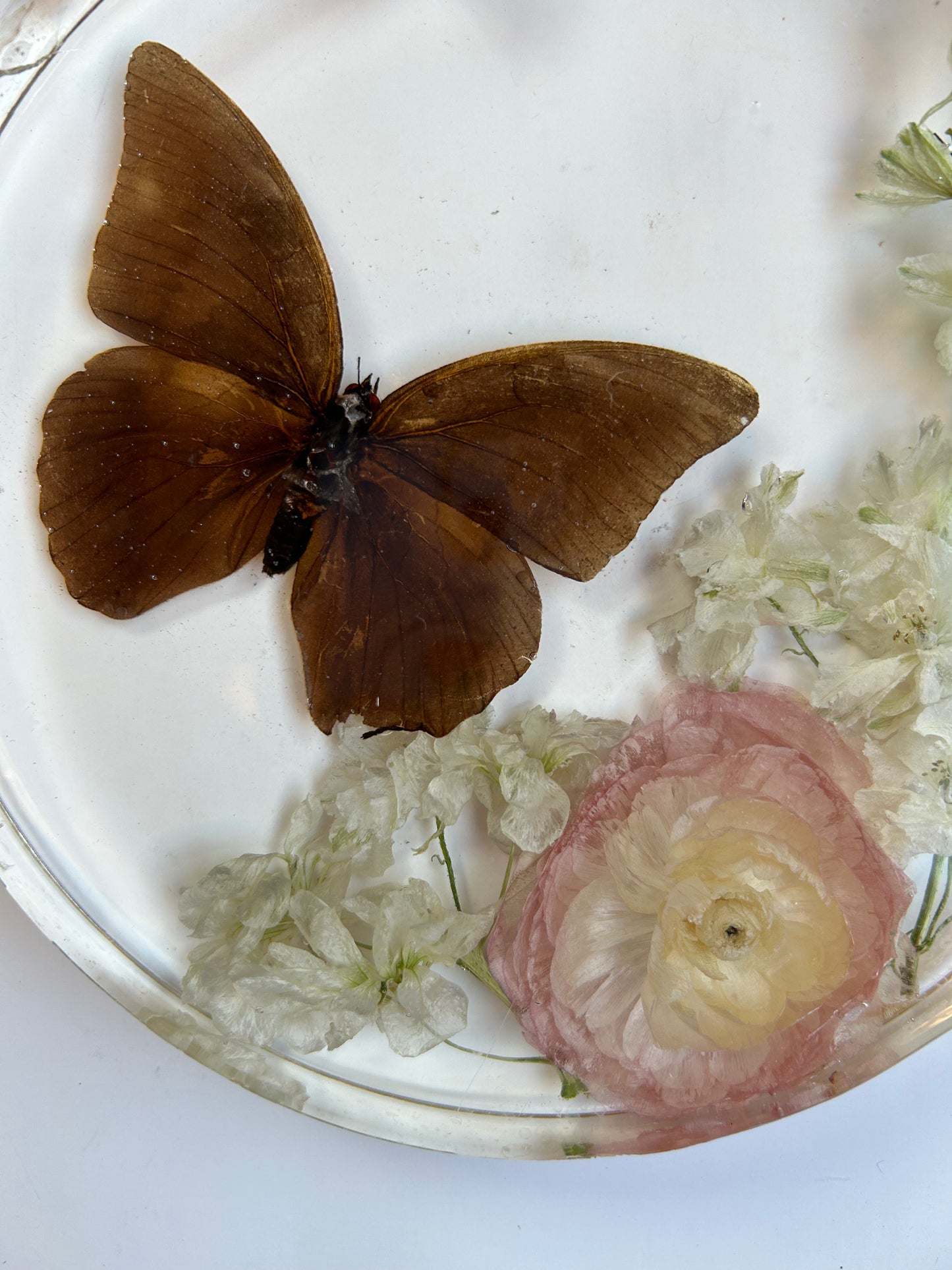 Resin Butterfly Art