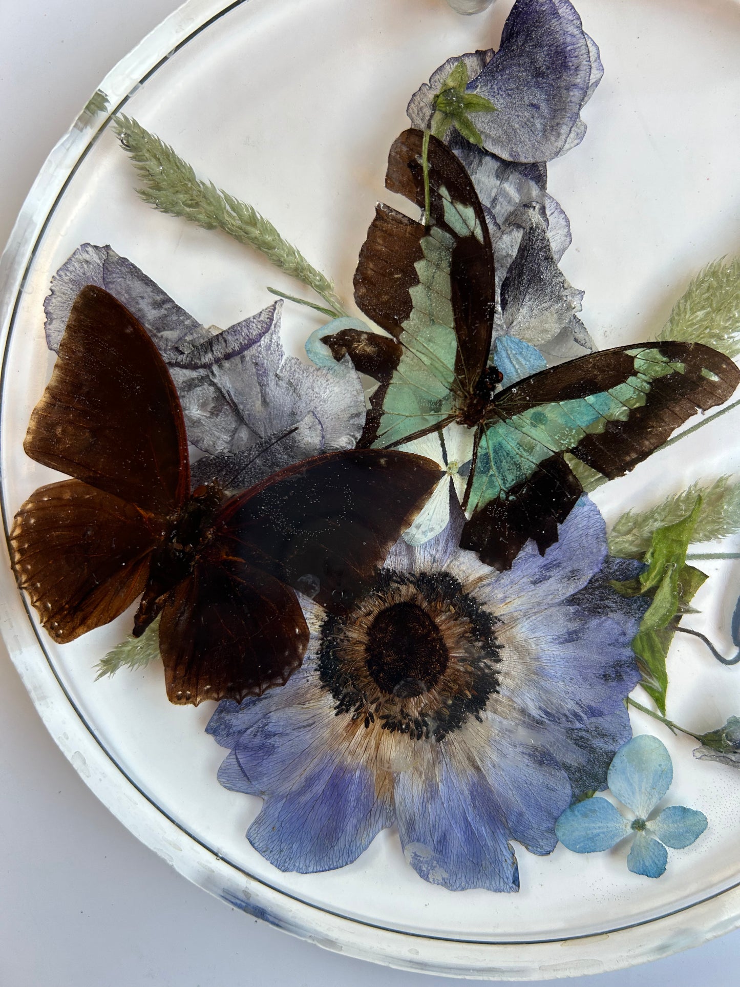 Resin Butterfly Art