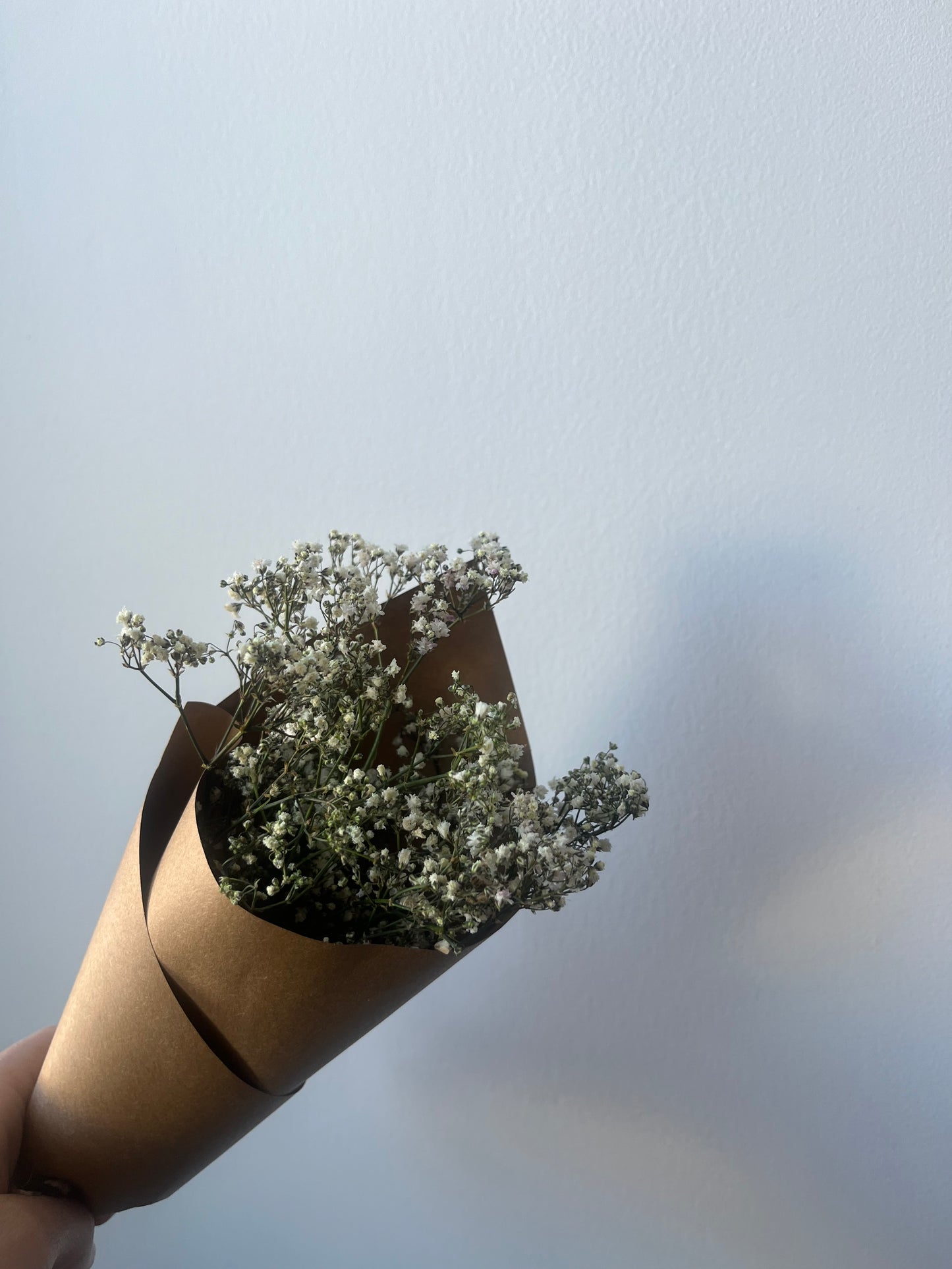 Mini Dried Baby's Breath Bouquet