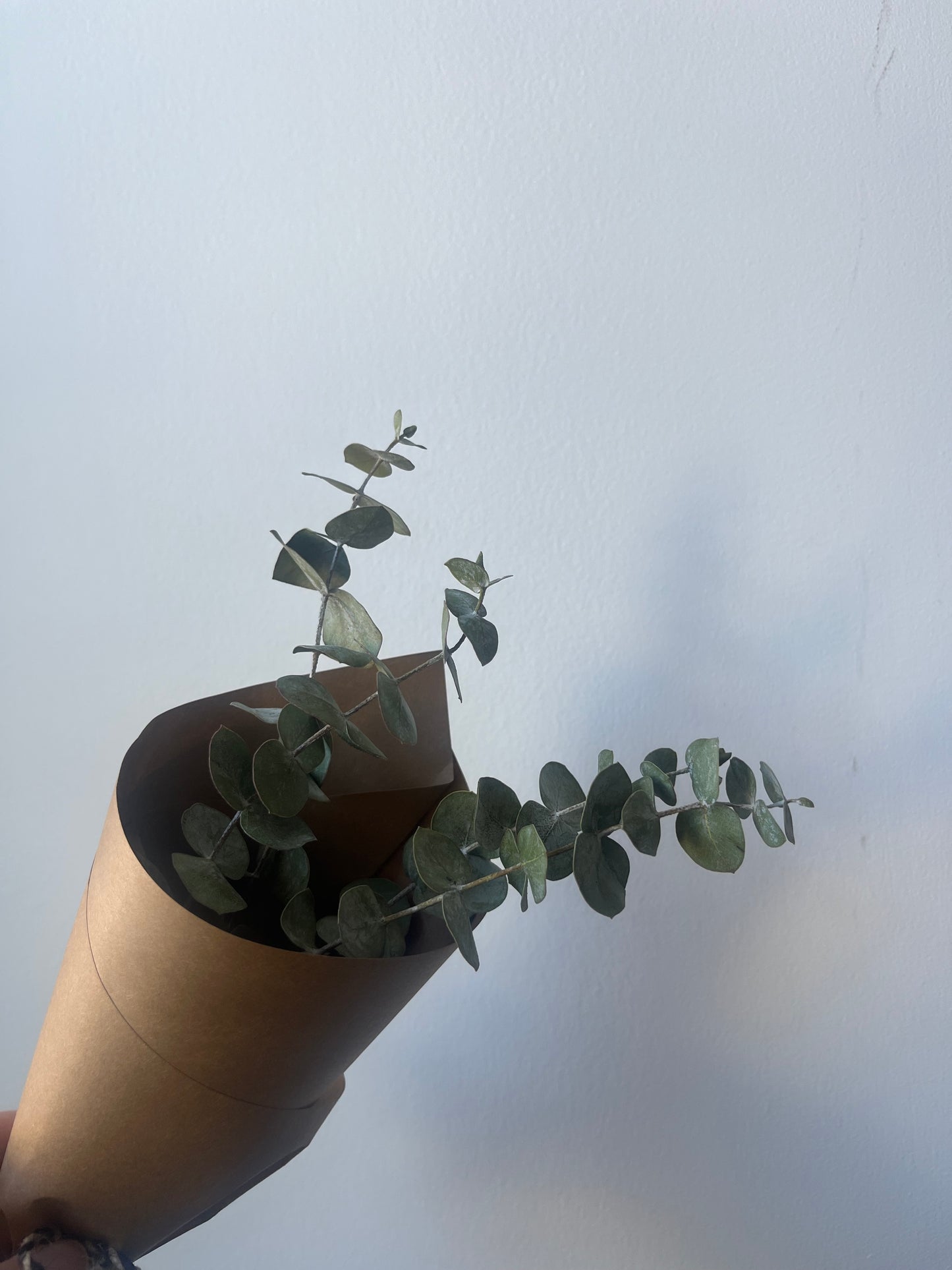 Mini Dried Eucalyptus Bouquet