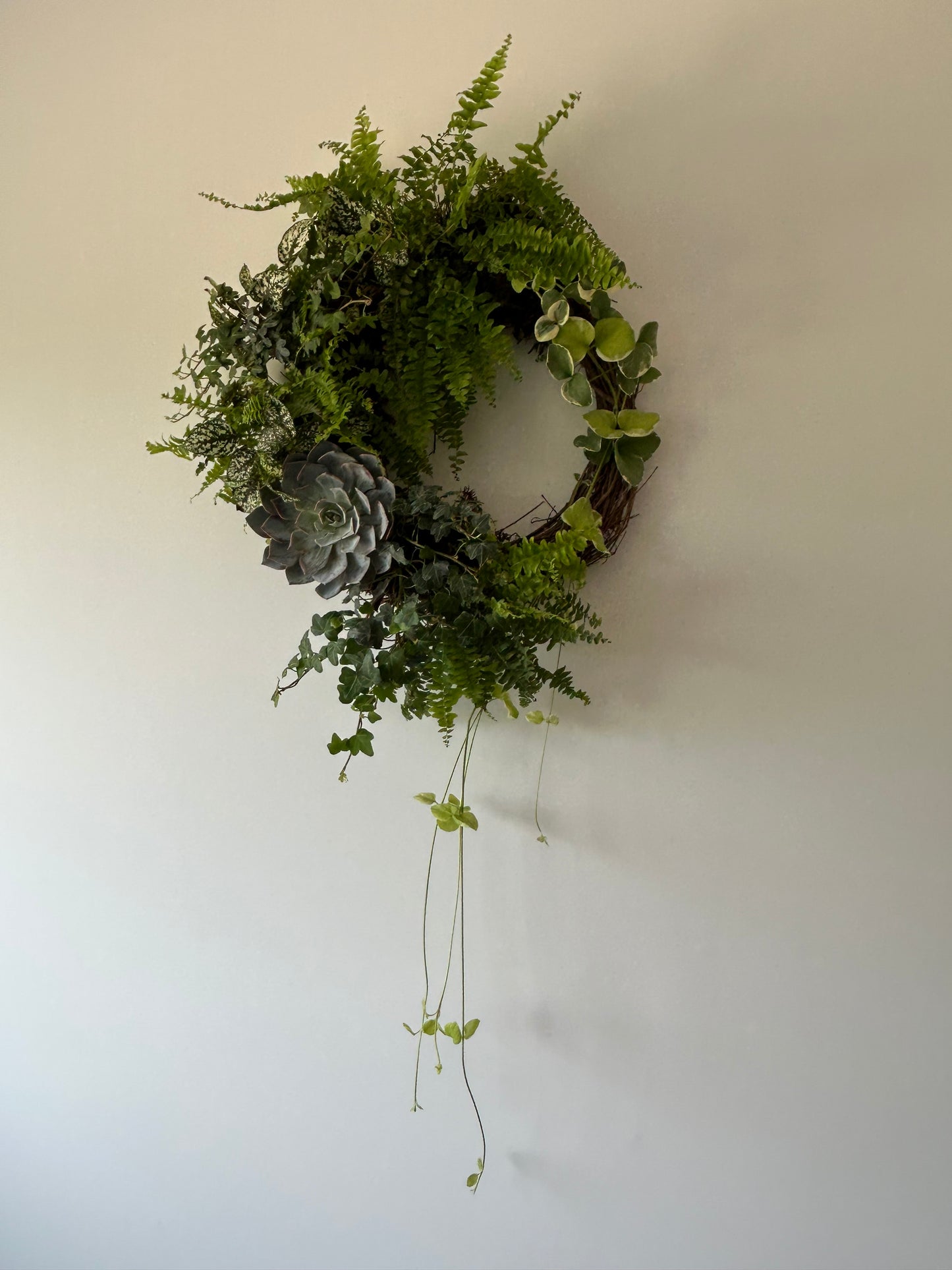 Living Wreath Workshop
