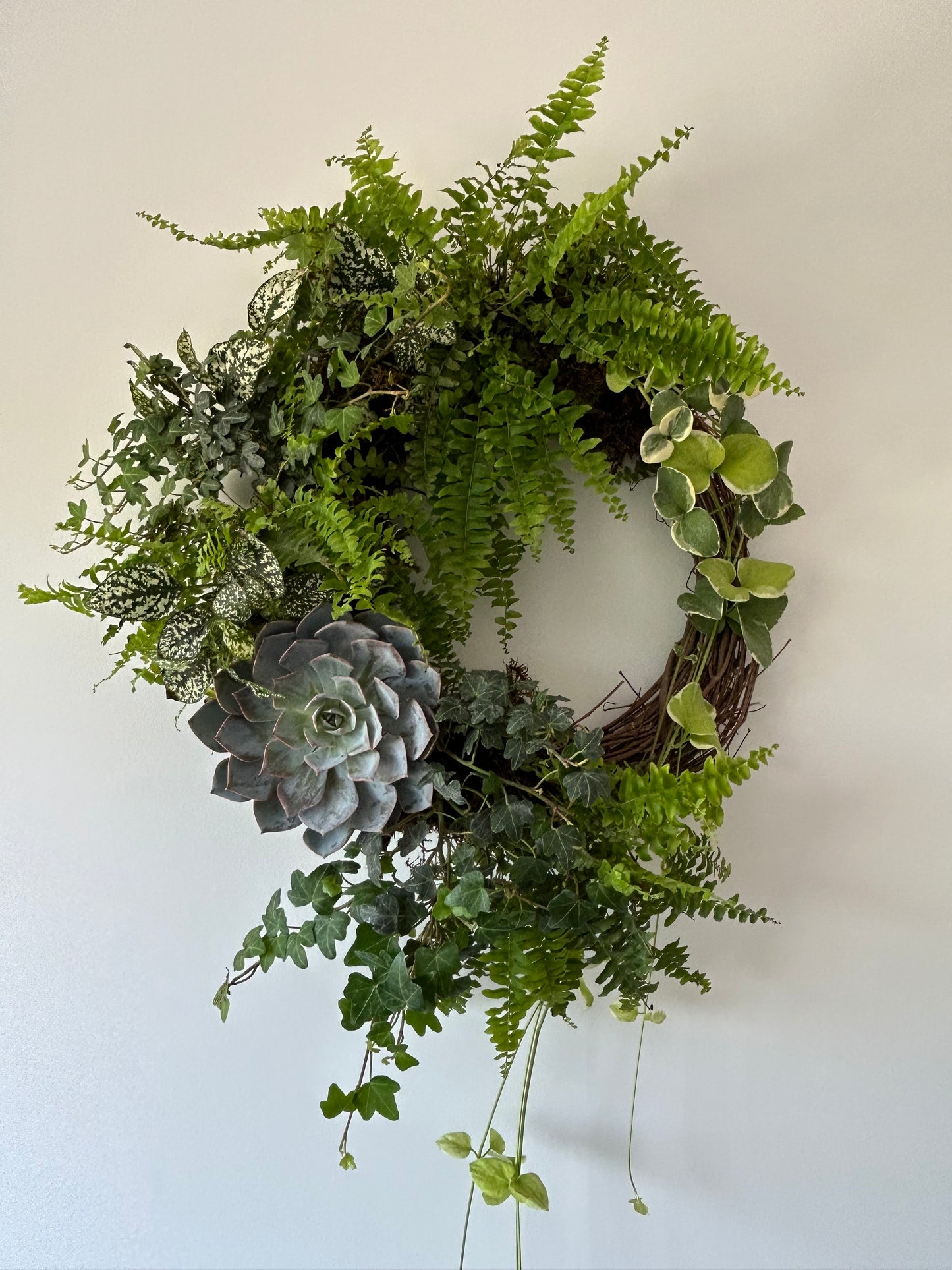 Living Wreath Workshop