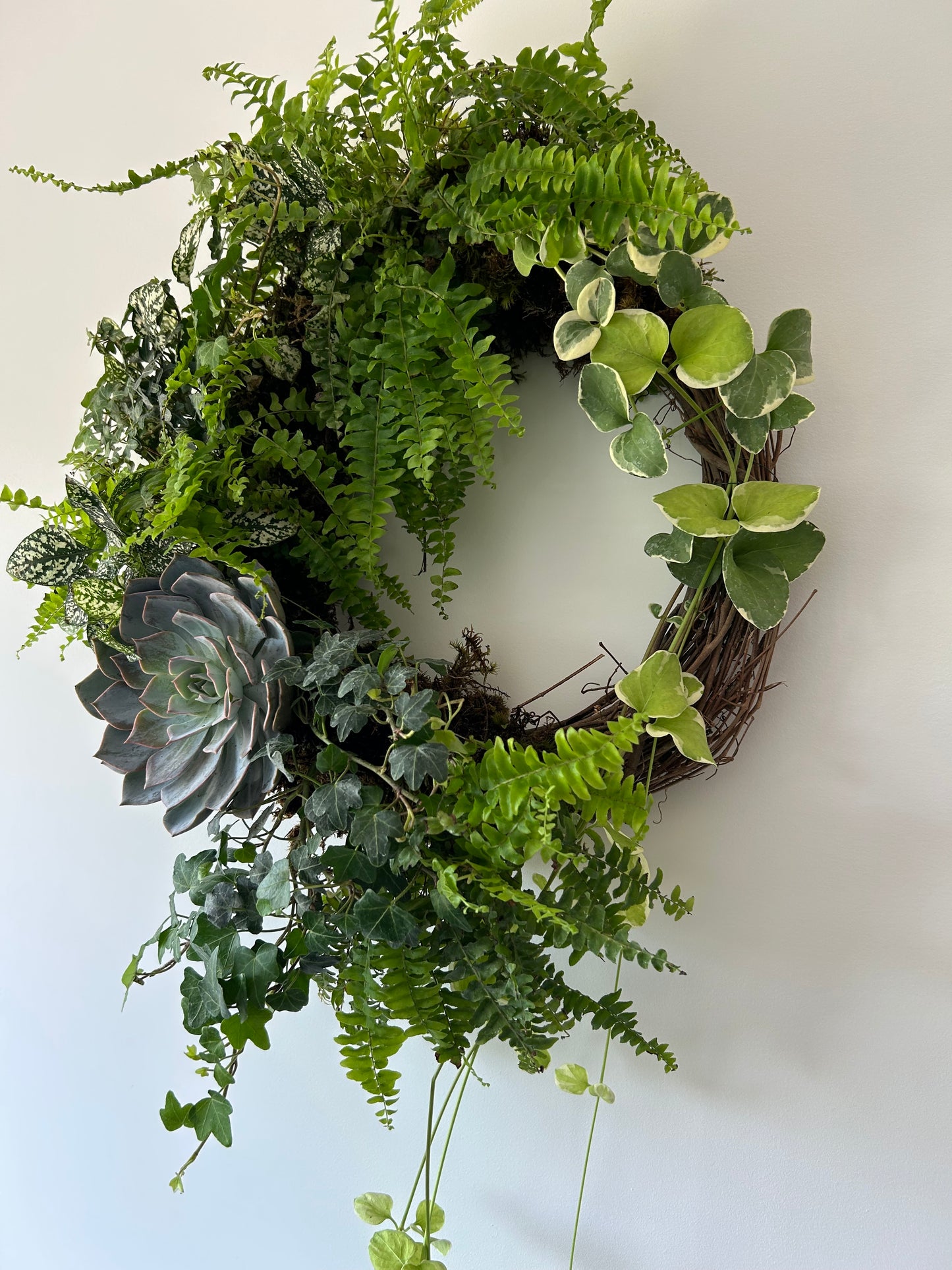 Living Wreath Workshop
