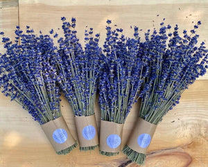 Dried Lavender Bundle